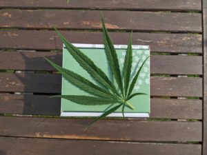 FTC CBD marketing