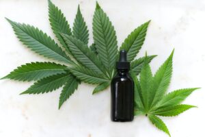 cannabis advertising
