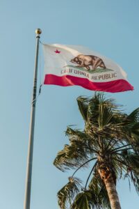 california flag data broker califronia flag with palm tree